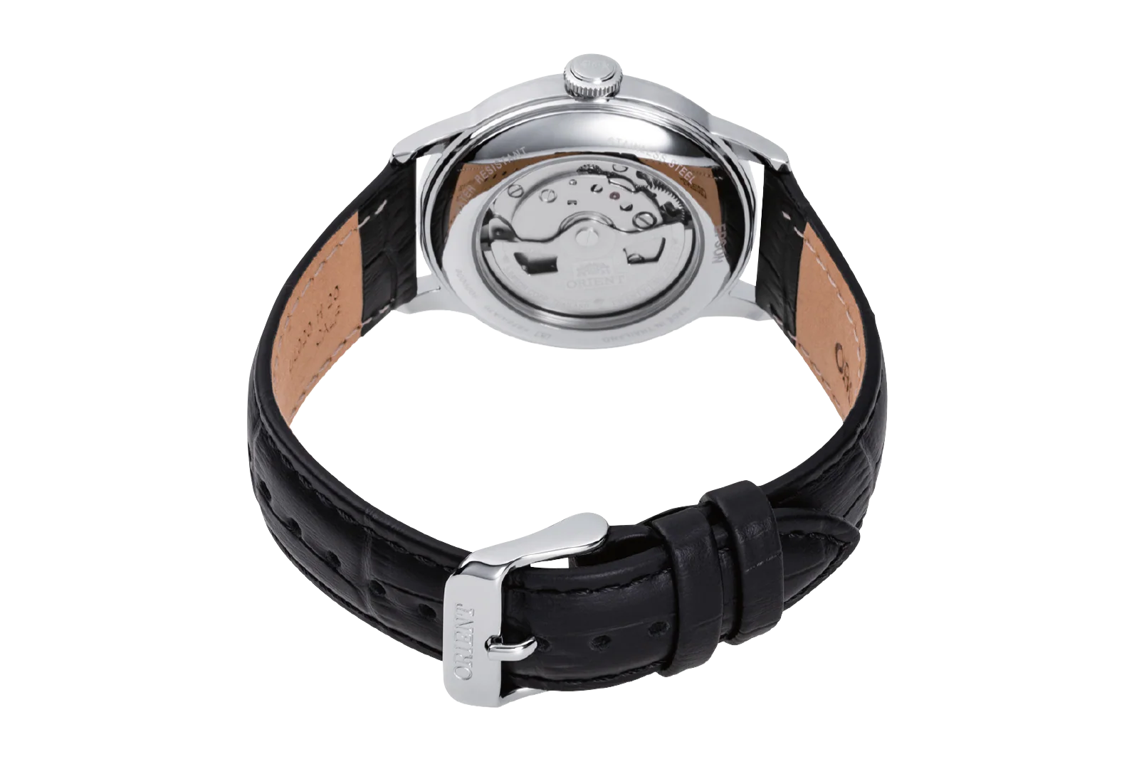 Orient Bambino Version 7 - Image 3